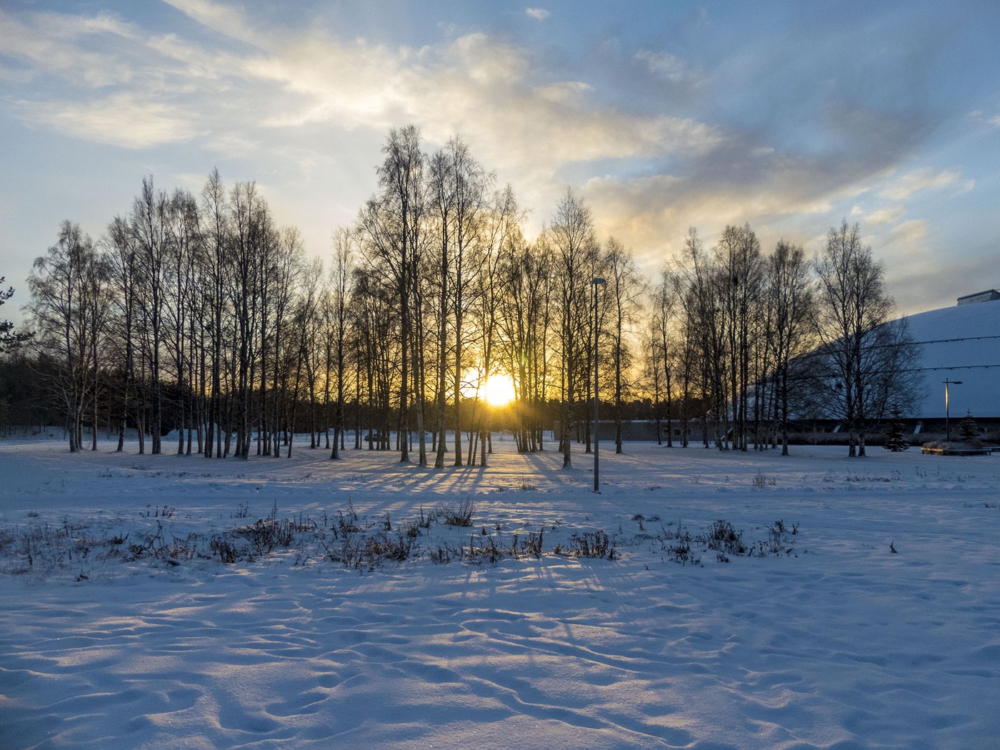 Zonsopgang door de bomen in de winter in Oulu Finland